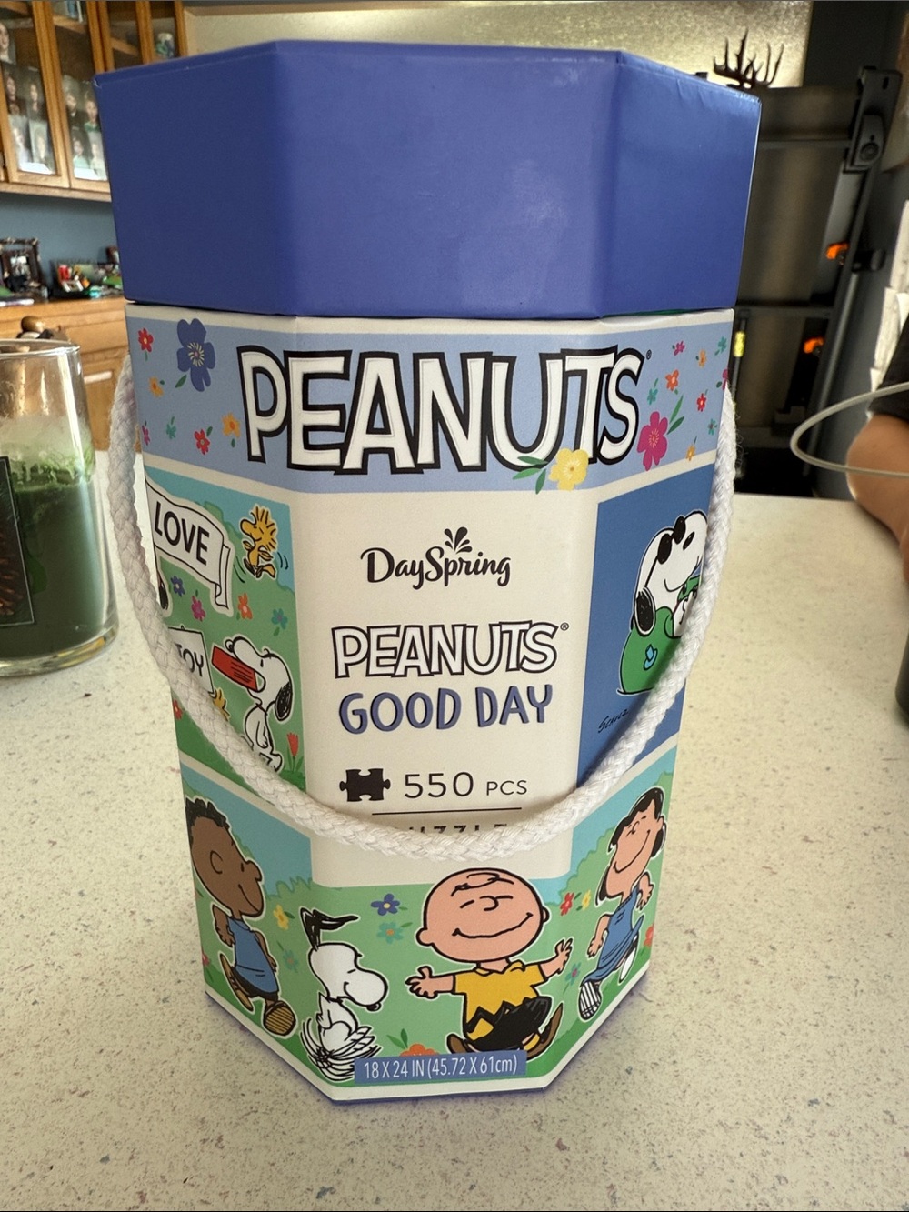 Peanuts Good Day 550-Piece Puzzle - Blue/Green